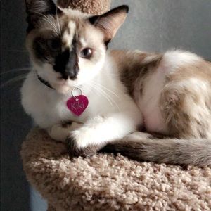 Meet your Posher, Erica